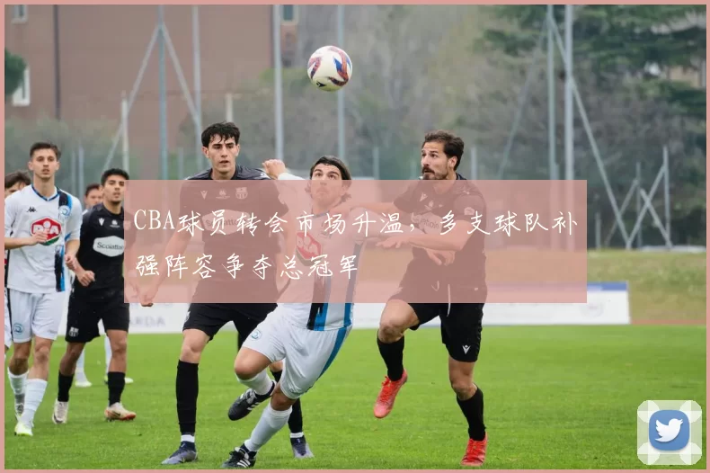 CBA球员转会市场升温，多支球队补强阵容争夺总冠军