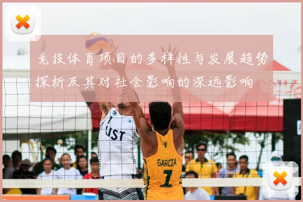 竞技体育项目的多样性与发展趋势探析及其对社会影响的深远影响