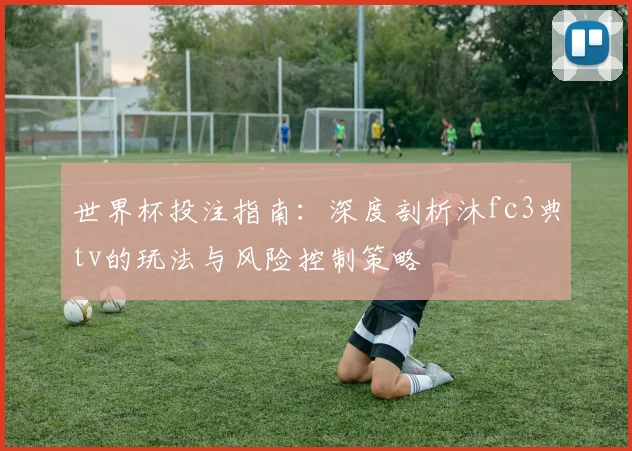 世界杯投注指南：深度剖析沐fc3典tv的玩法与风险控制策略
