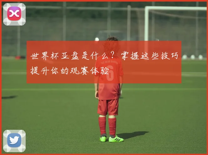 世界杯亚盘是什么？掌握这些技巧提升你的观赛体验