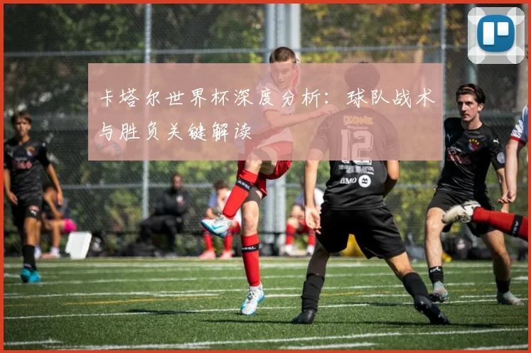 卡塔尔世界杯深度分析：球队战术与胜负关键解读