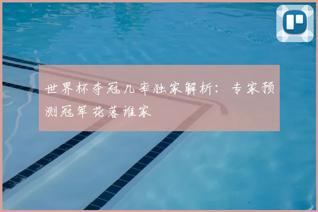 世界杯夺冠几率独家解析：专家预测冠军花落谁家