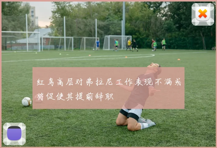 红鸟高层对弗拉尼工作表现不满或将促使其提前辞职