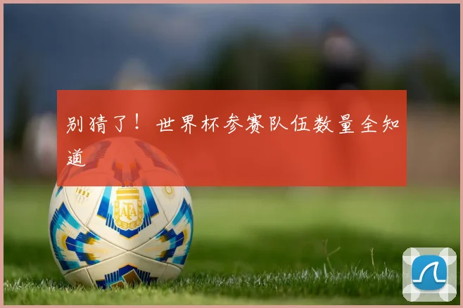 别猜了!世界杯参赛队伍数量全知道