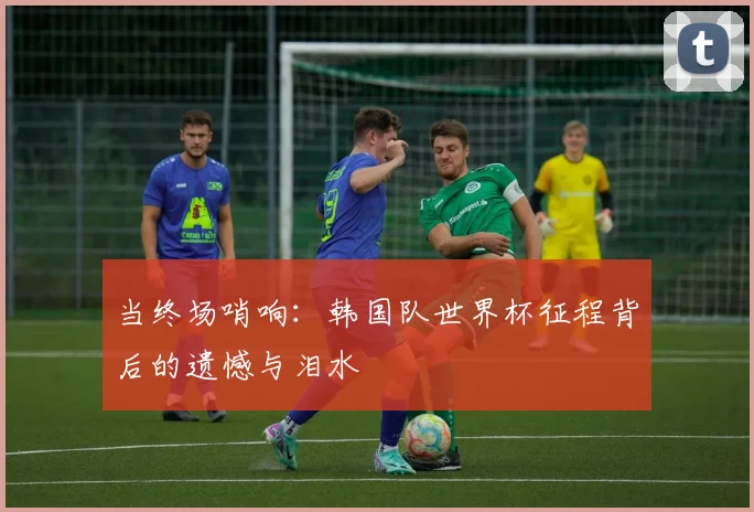 当终场哨响：韩国队世界杯征程背后的遗憾与泪水