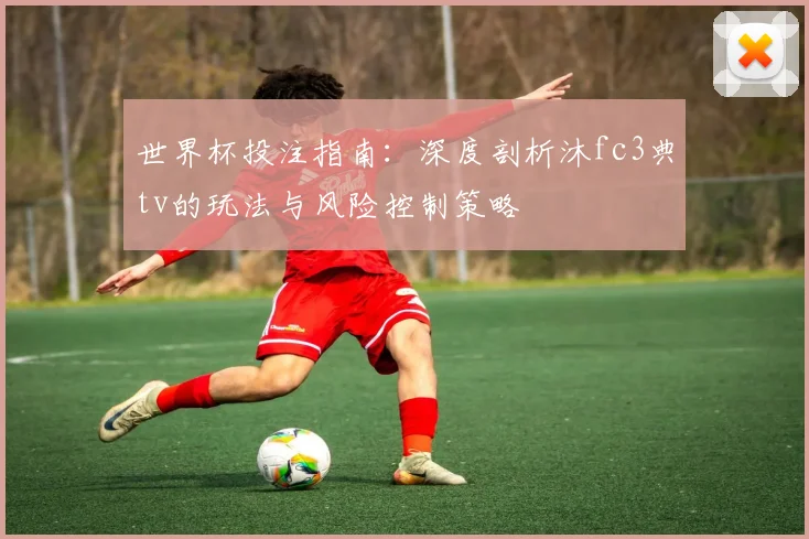 世界杯投注指南：深度剖析沐fc3典tv的玩法与风险控制策略