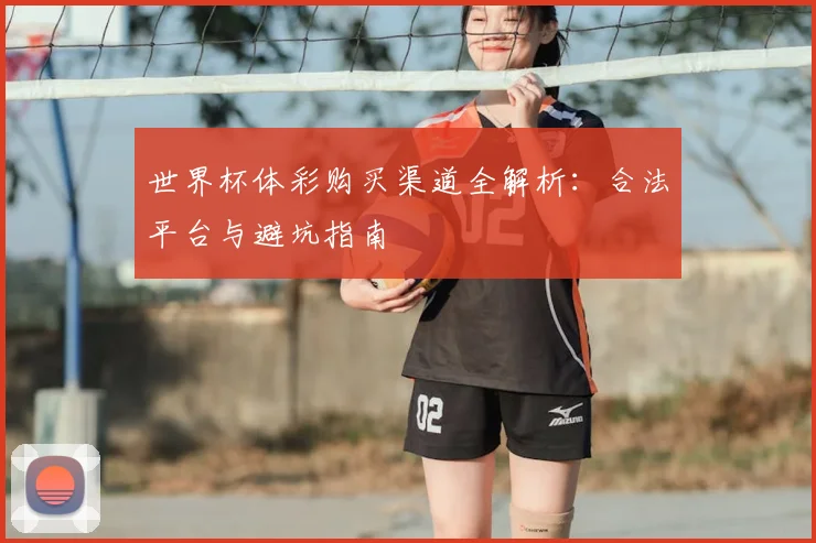 世界杯体彩购买渠道全解析：合法平台与避坑指南