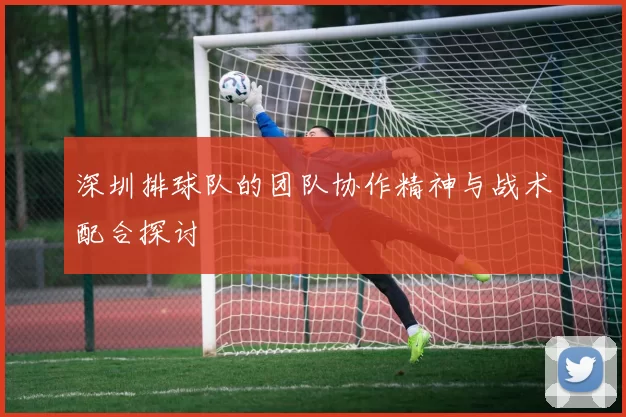 深圳排球队的团队协作精神与战术配合探讨