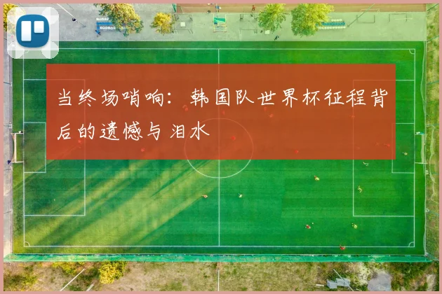 当终场哨响：韩国队世界杯征程背后的遗憾与泪水