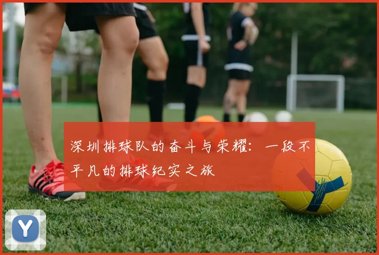 深圳排球队的奋斗与荣耀：一段不平凡的排球纪实之旅