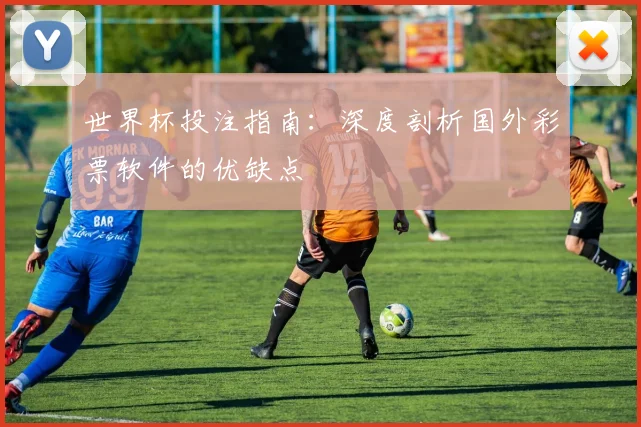 世界杯投注指南：深度剖析国外彩票软件的优缺点