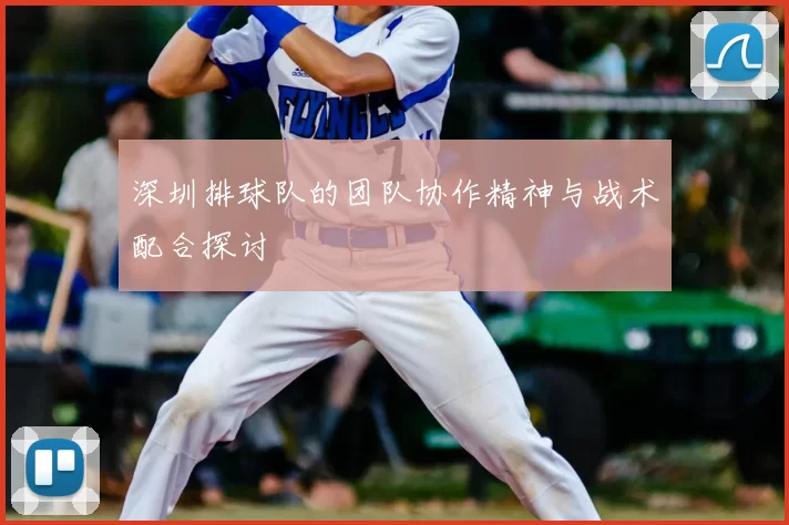 深圳排球队的团队协作精神与战术配合探讨