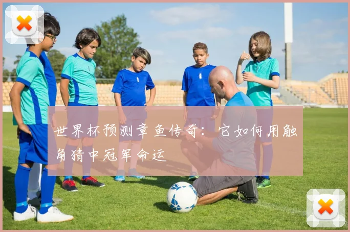 世界杯预测章鱼传奇：它如何用触角猜中冠军命运