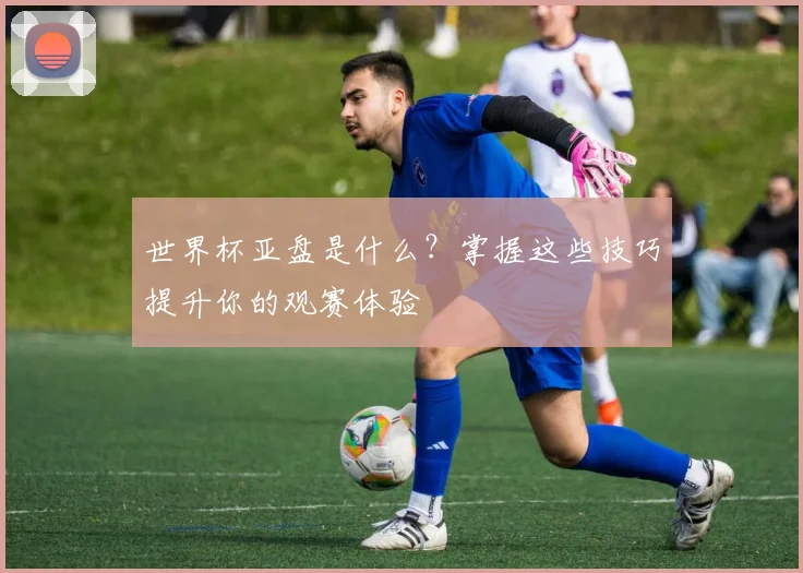 世界杯亚盘是什么？掌握这些技巧提升你的观赛体验